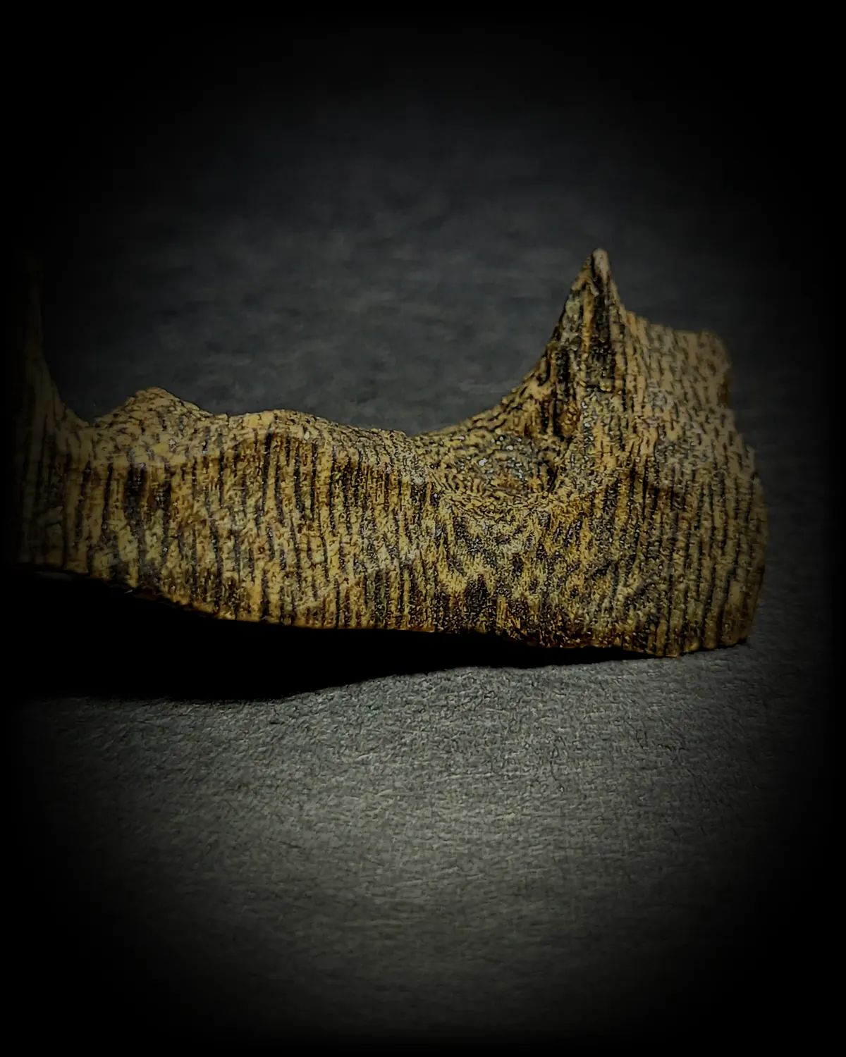 Agarwood, a single piece